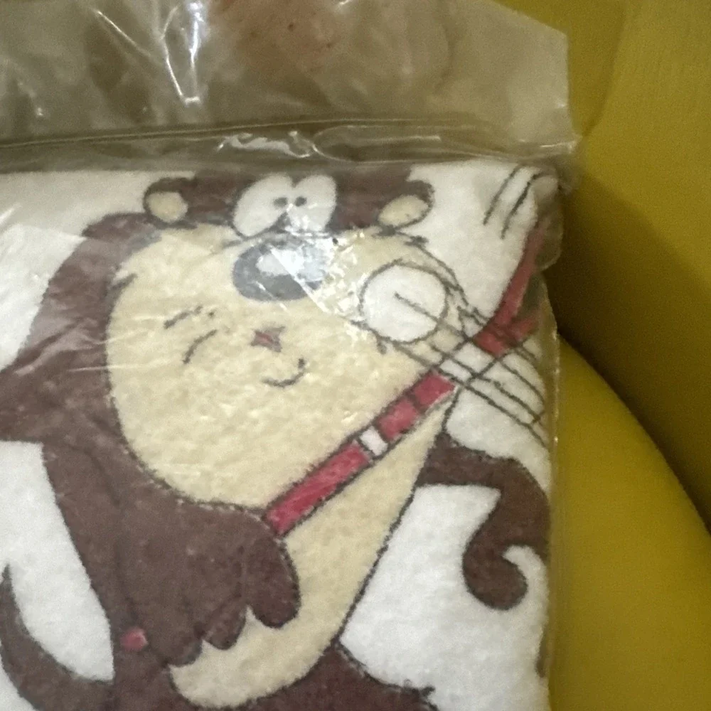 Warner Brothers Looney Tunes TAZ Sports Blanket 45